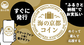 海の京都コイン・ふるさと納税でお得にお泊り