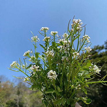 まつつるInstagram